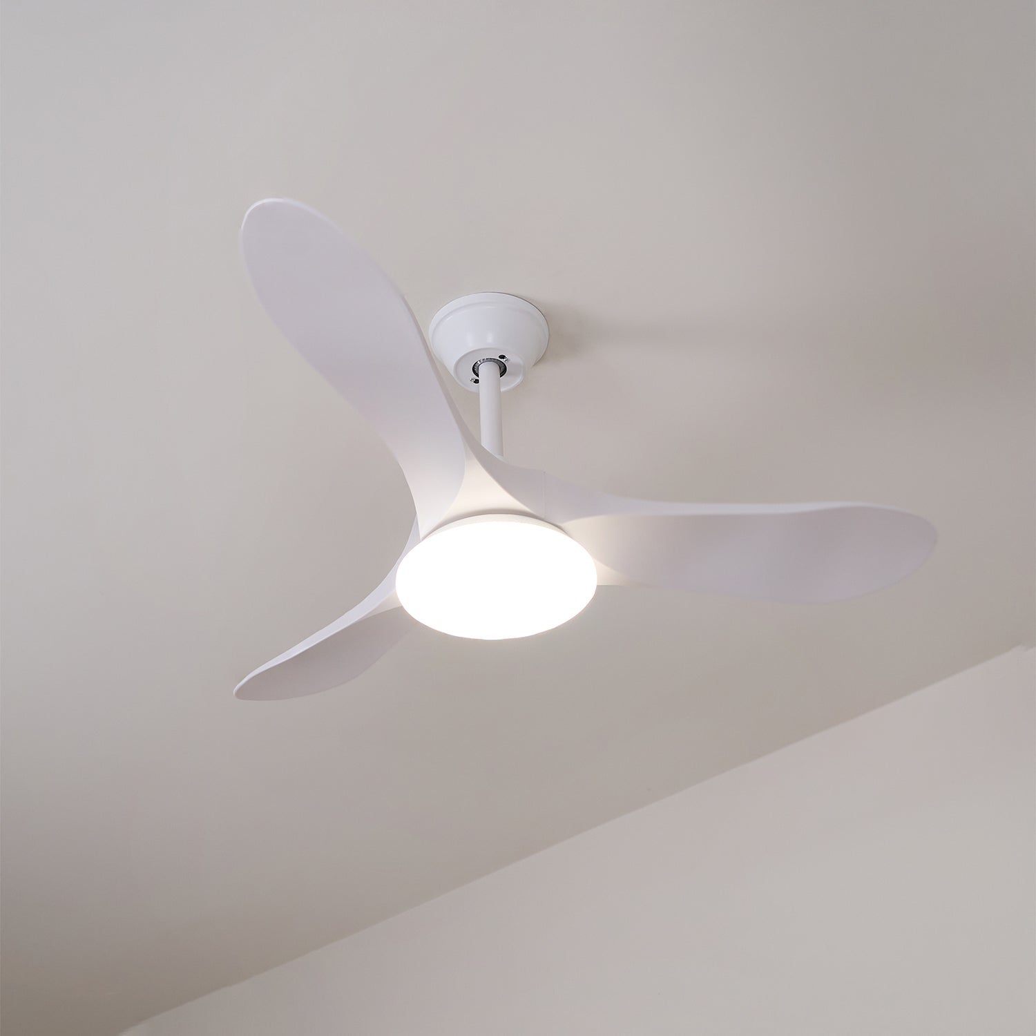 Ventilateur de plafond Favigno