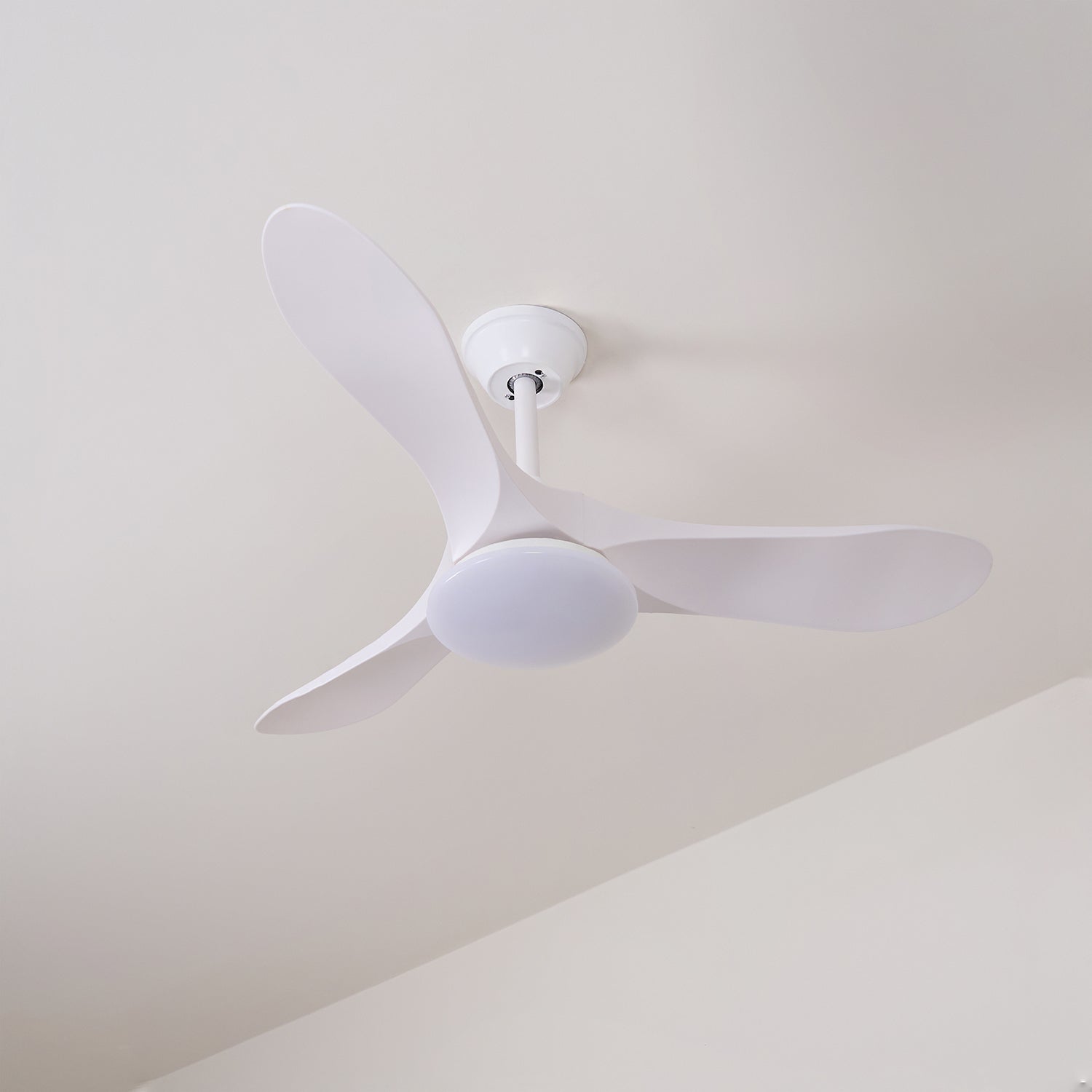 Ventilateur de plafond Favigno