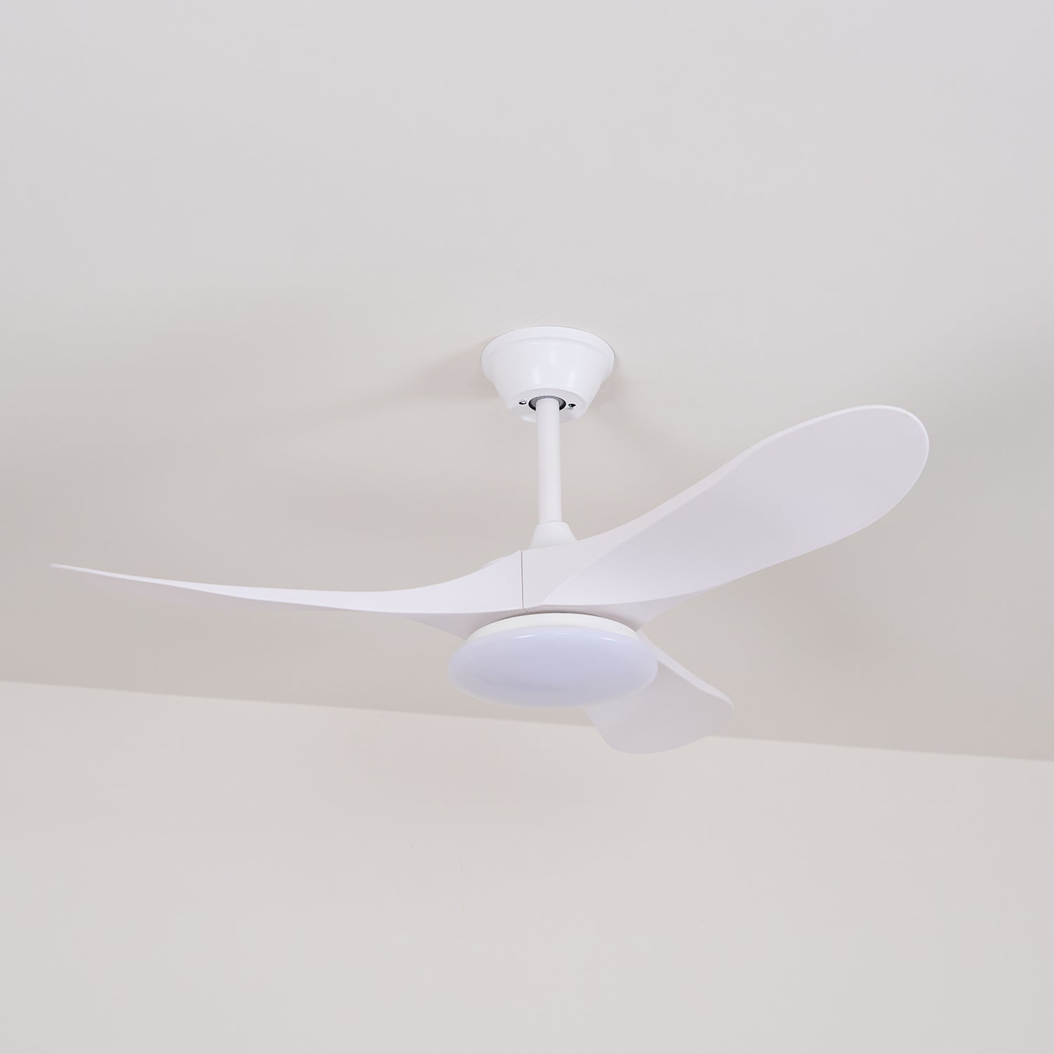 Ventilateur de plafond Favigno
