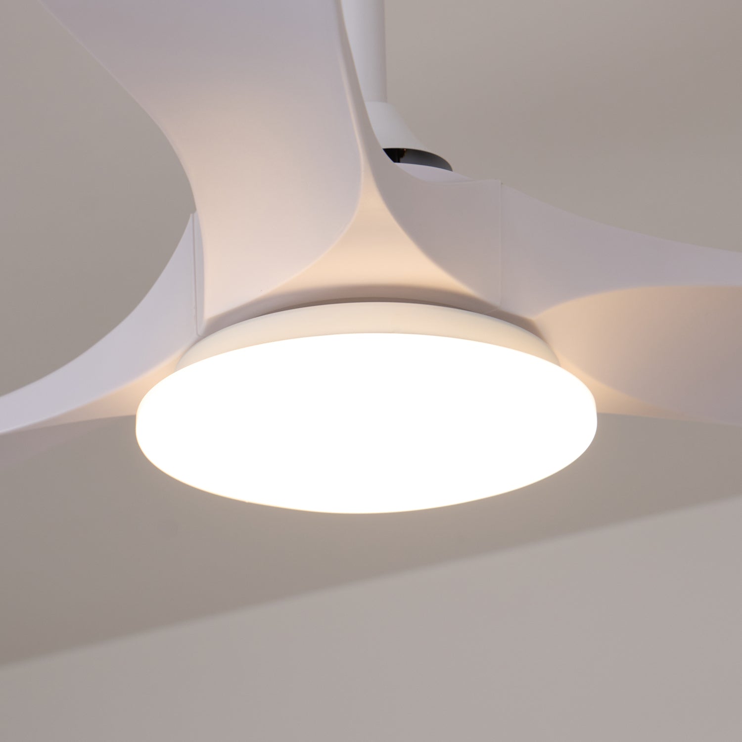 Ventilateur de plafond Favigno