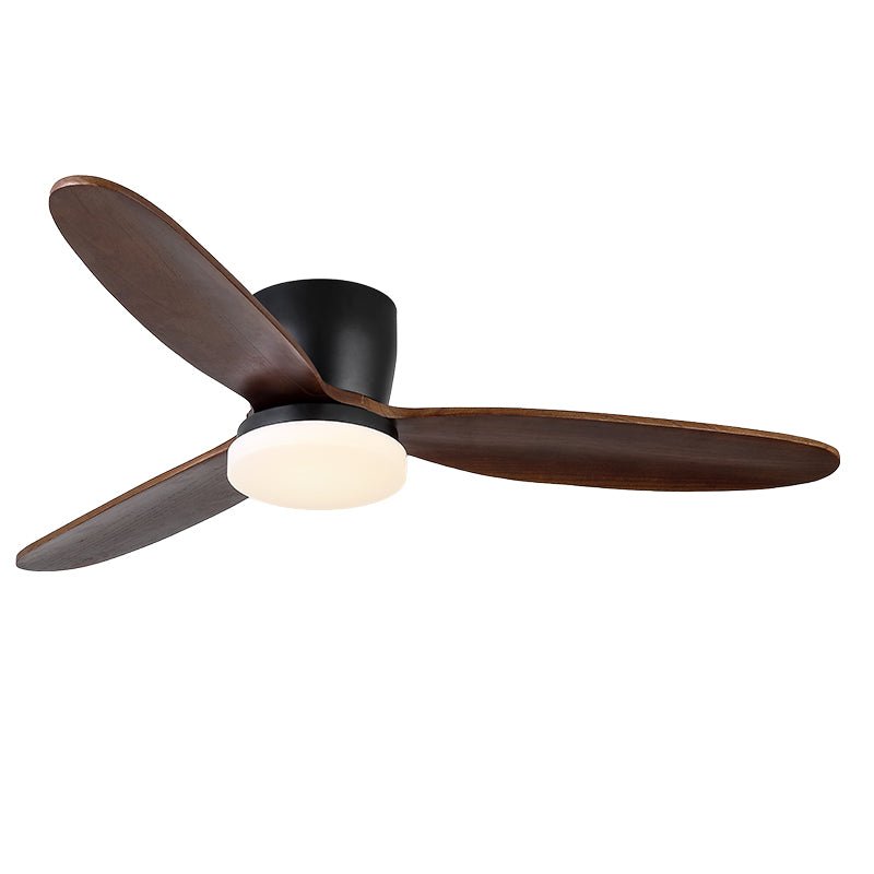 Ventilateur de plafond Quiona