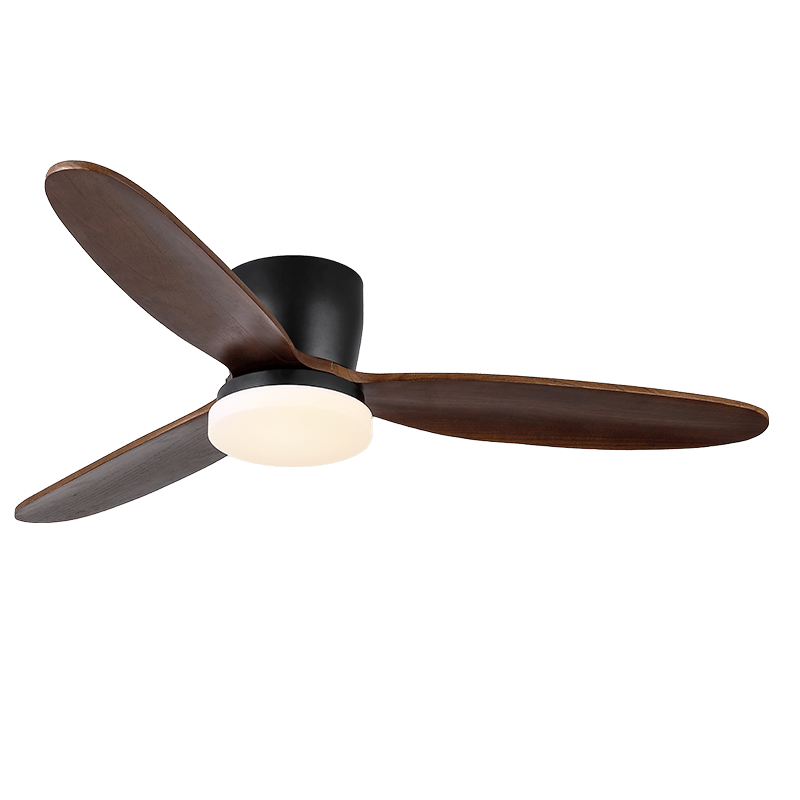 Ventilateur de plafond Quiona