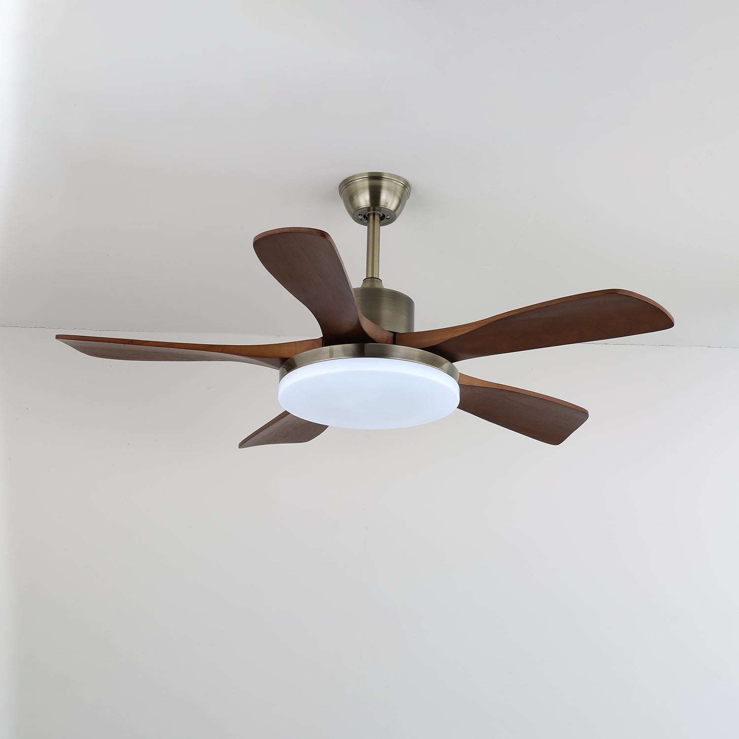 Ventilateur de plafond Liaroris
