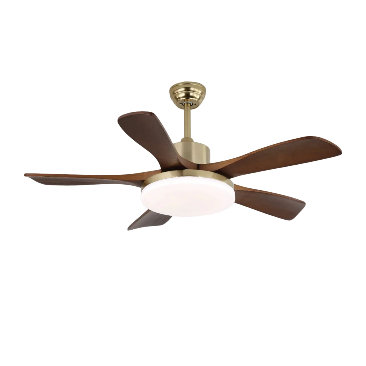 Ventilateur de plafond Liaroris