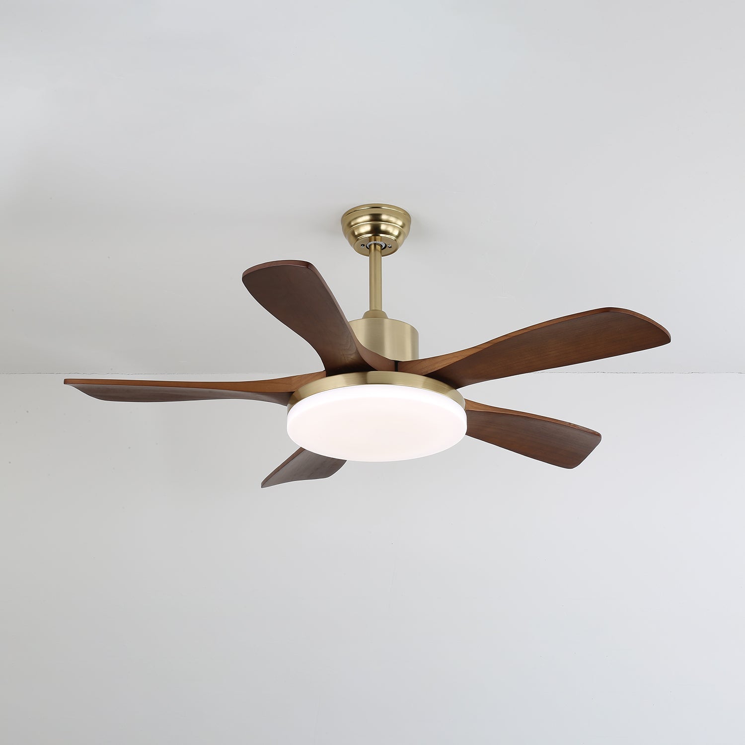 Ventilateur de plafond Liaroris