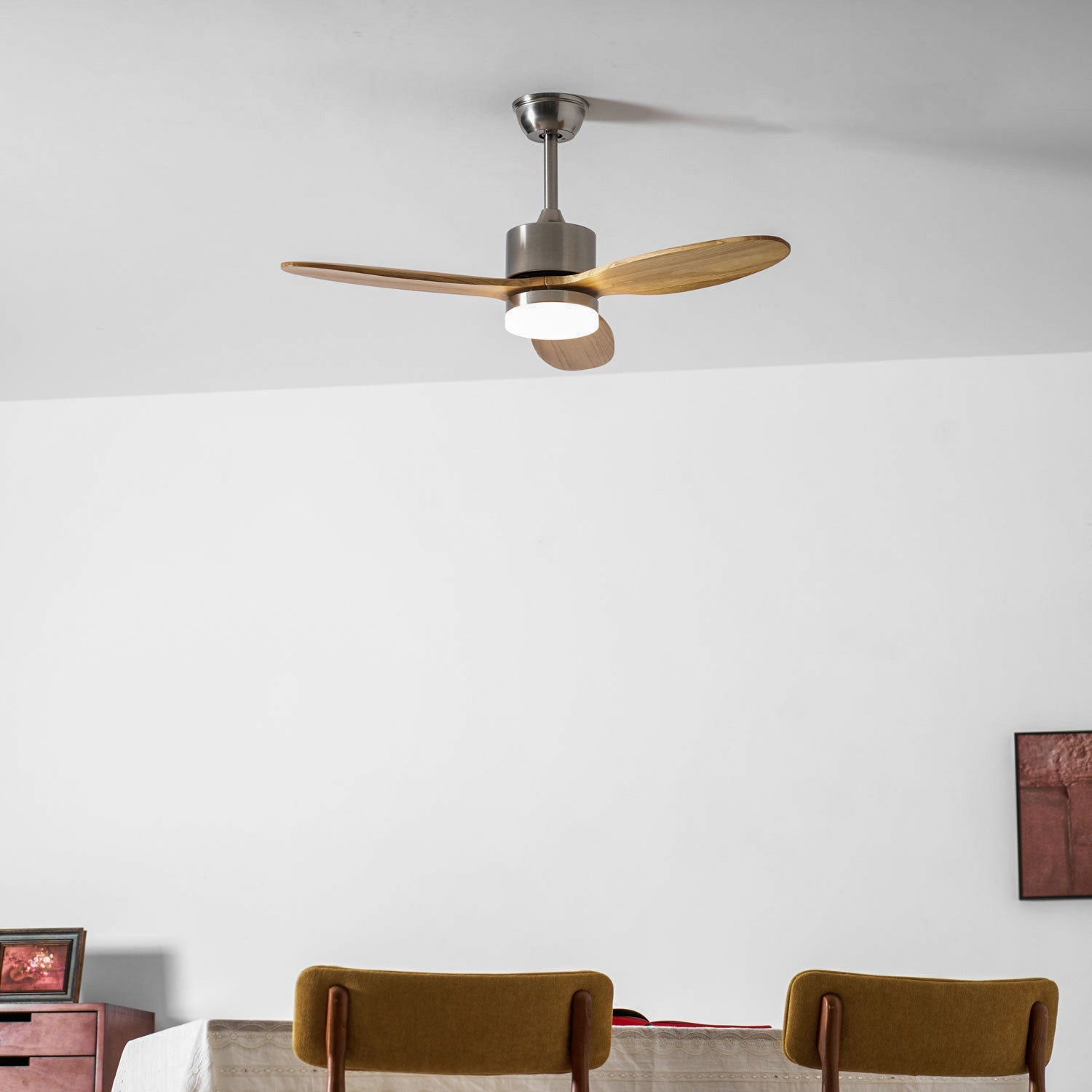 Ventilateur de plafond Belenora