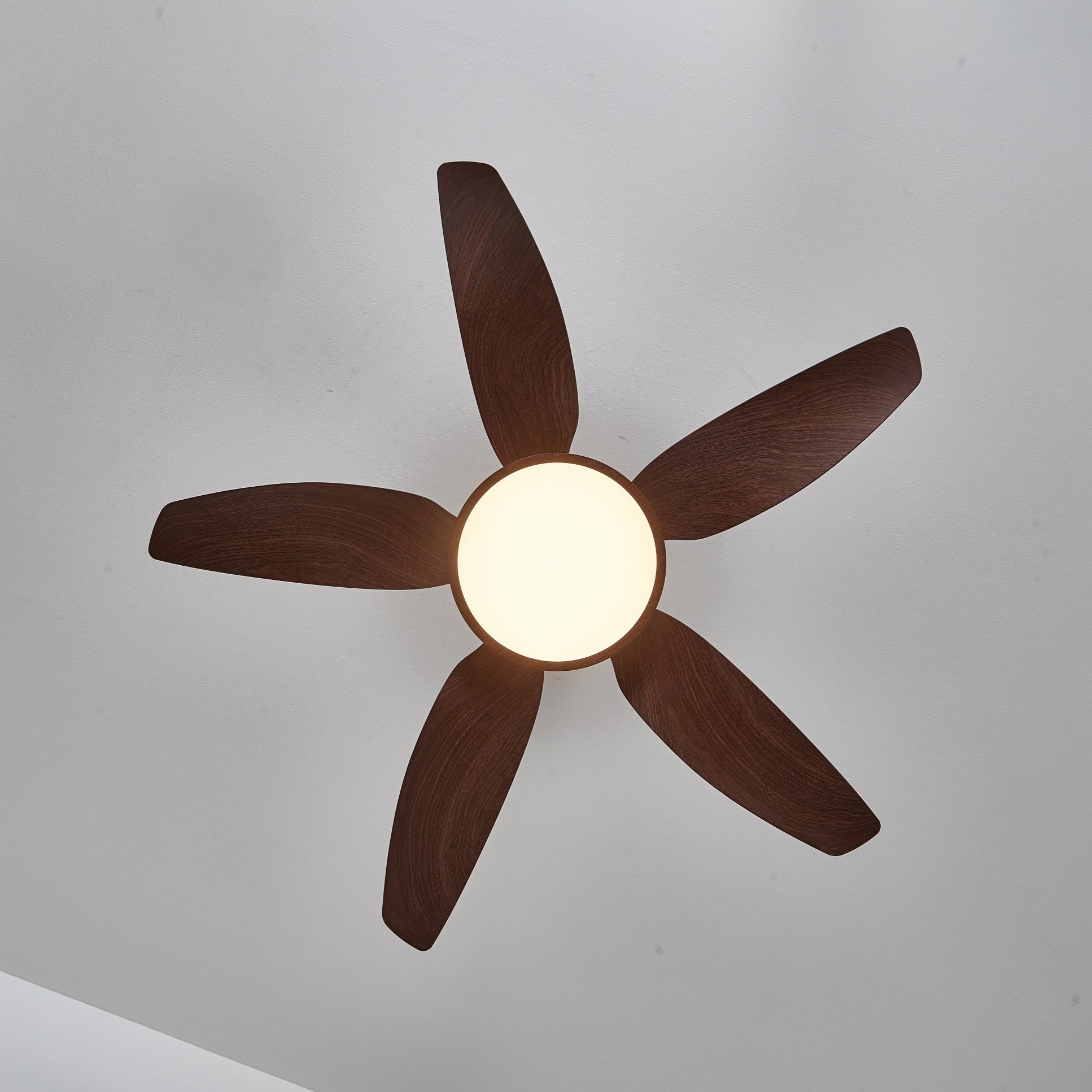 Ventilateur de plafond Torbelvian