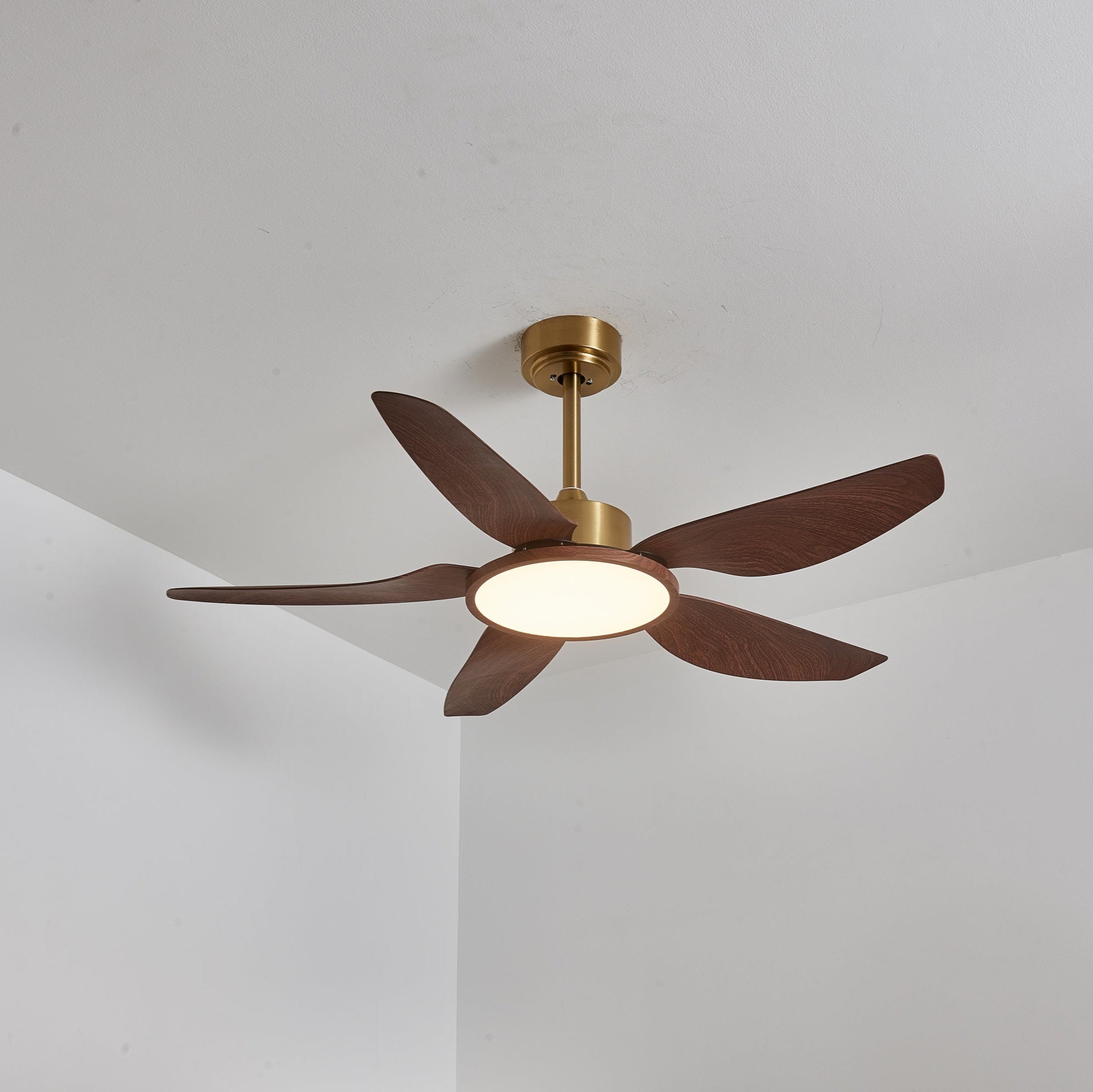Ventilateur de plafond Torbelvian