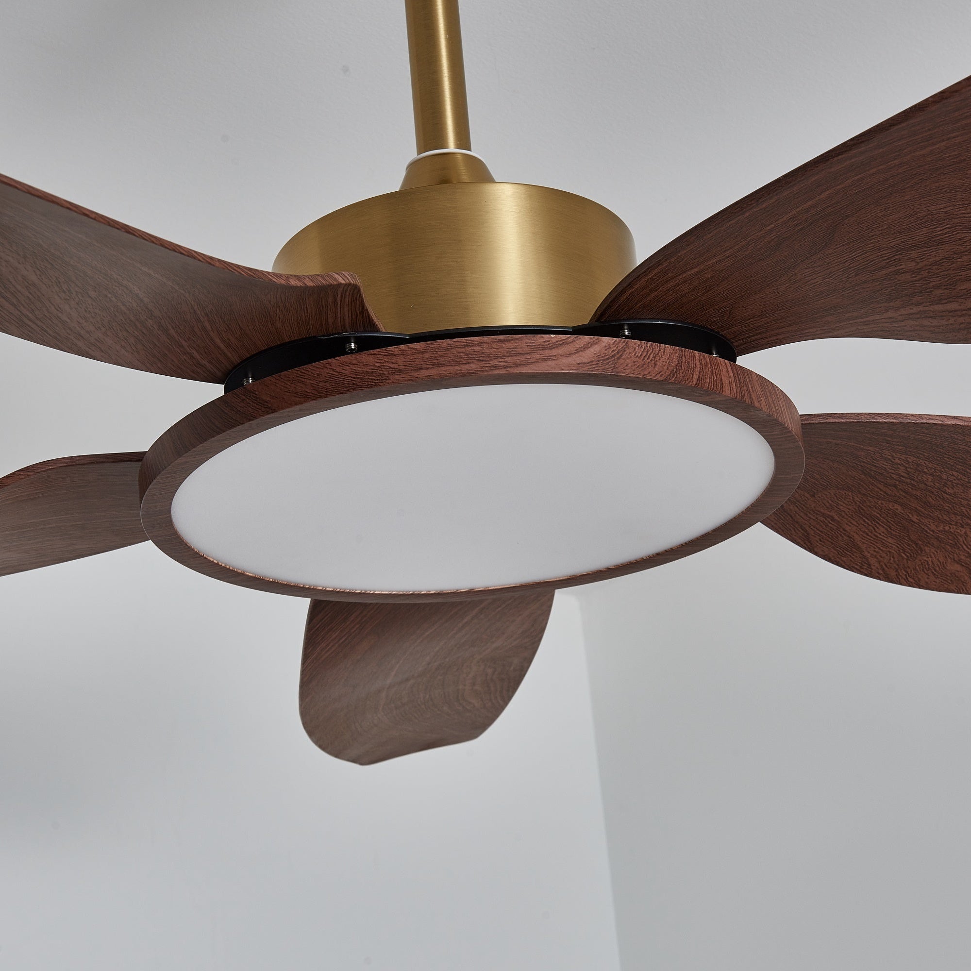 Ventilateur de plafond Torbelvian