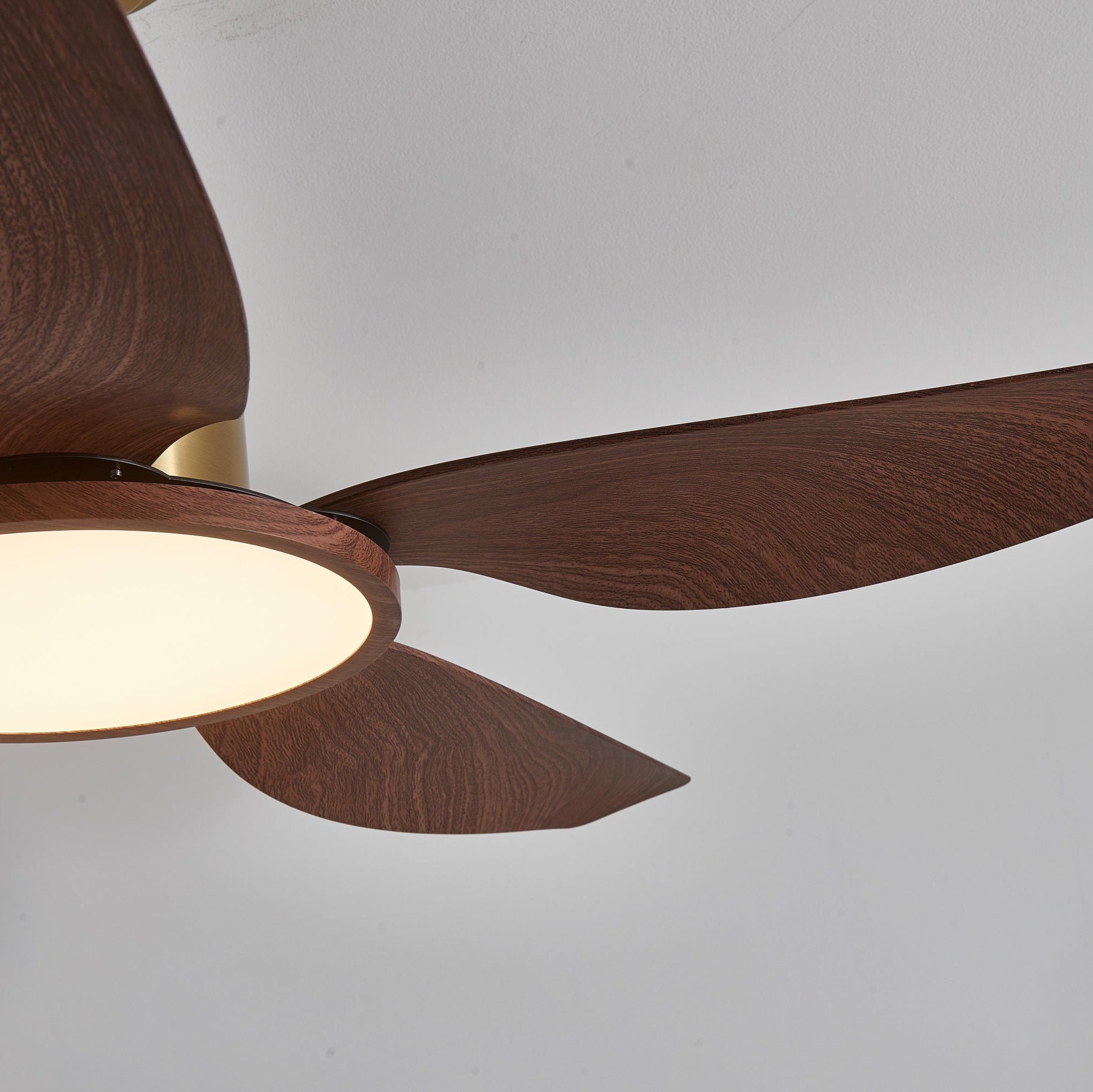 Ventilateur de plafond Torbelvian