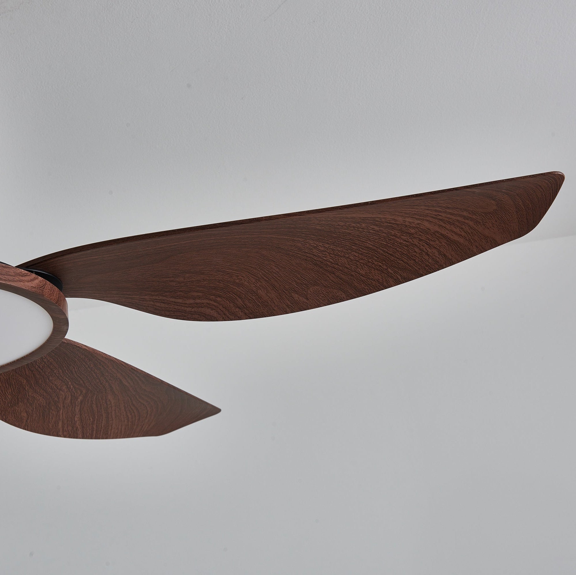 Ventilateur de plafond Torbelvian