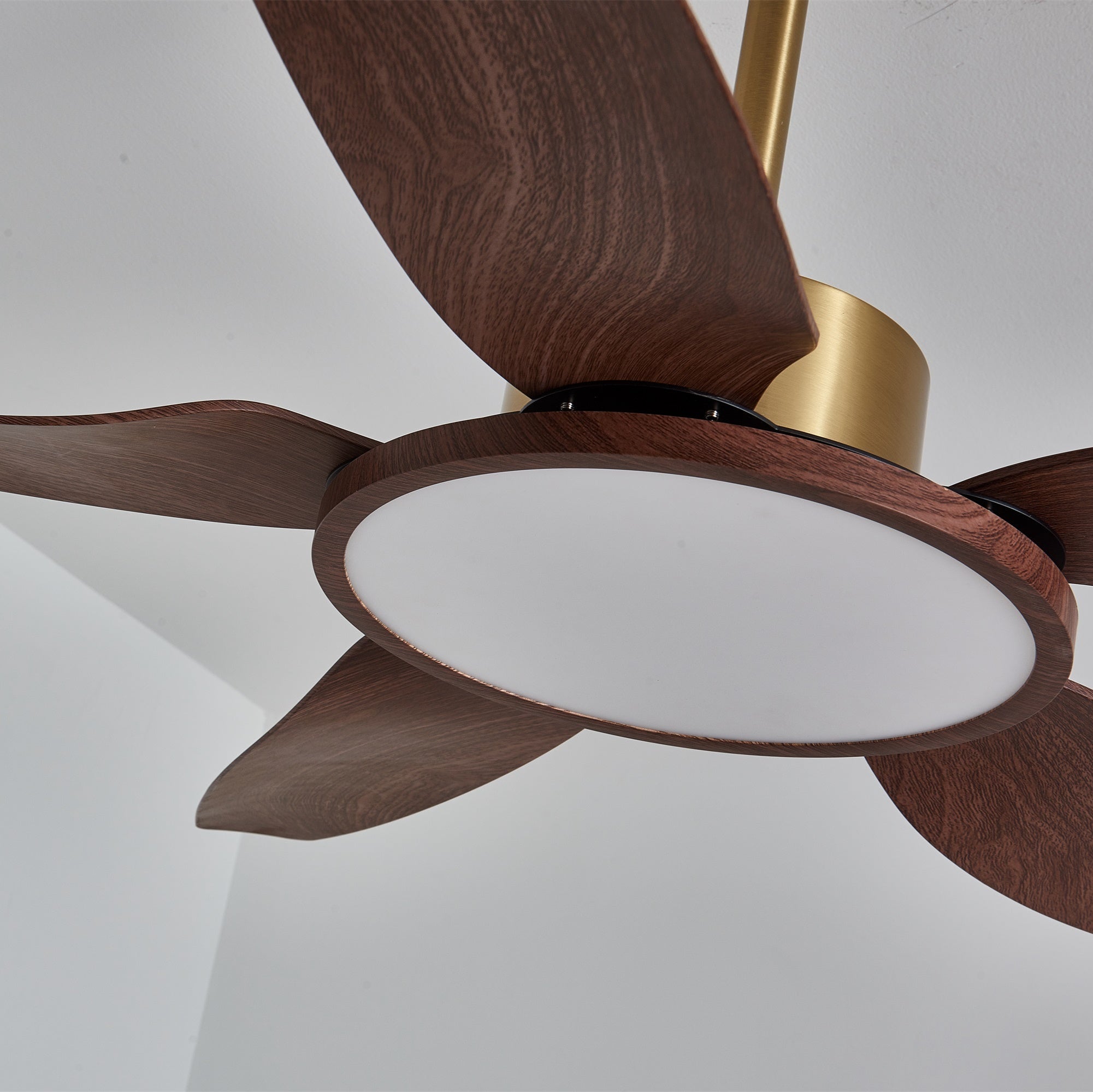 Ventilateur de plafond Torbelvian