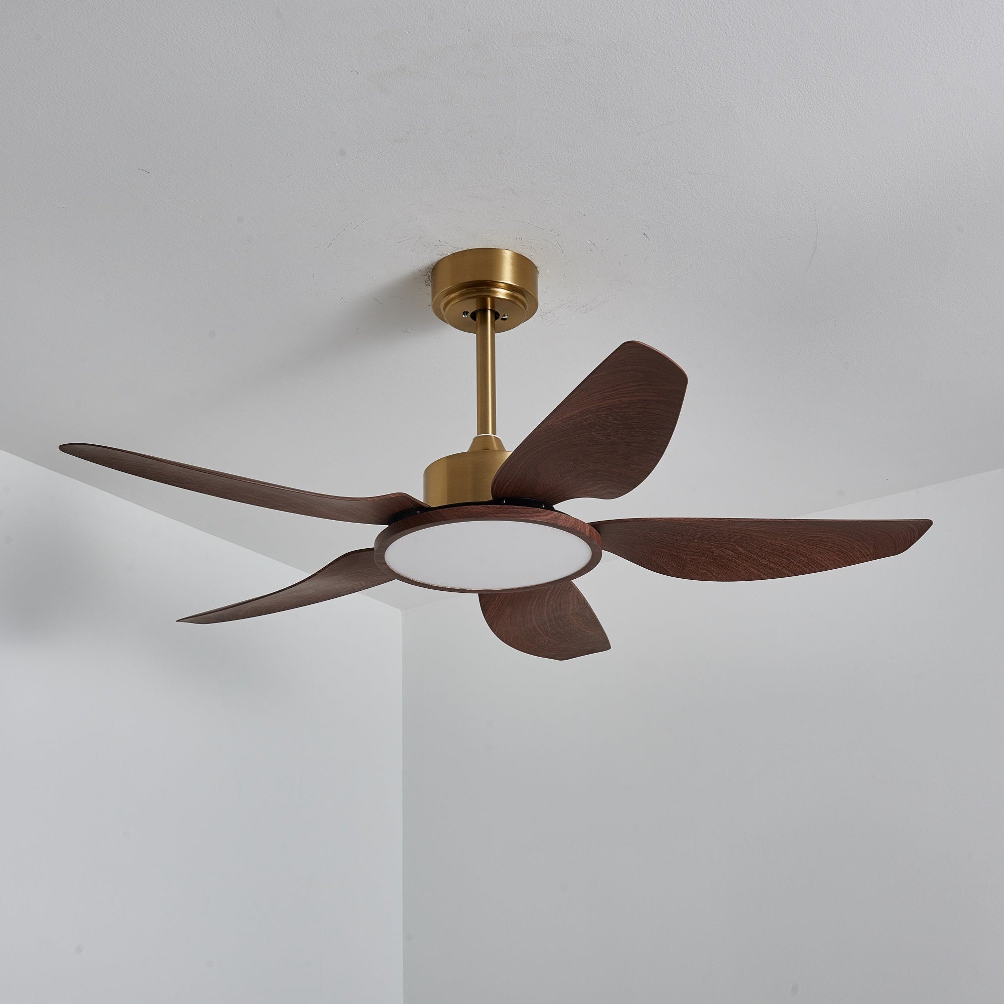 Ventilateur de plafond Torbelvian