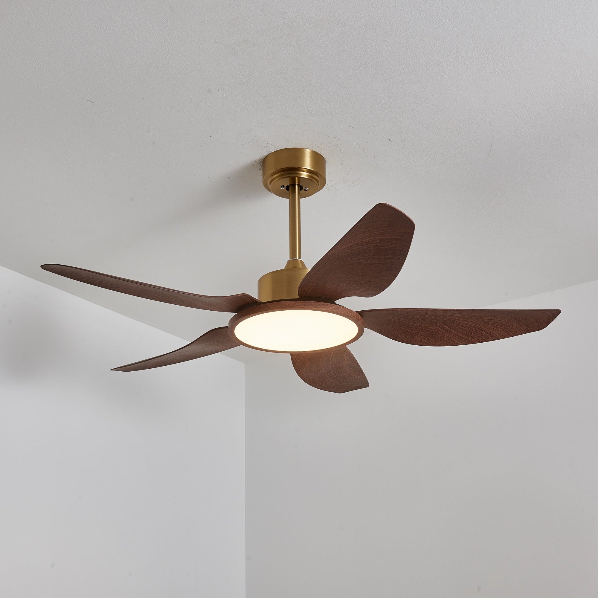 Ventilateur de plafond Torbelvian