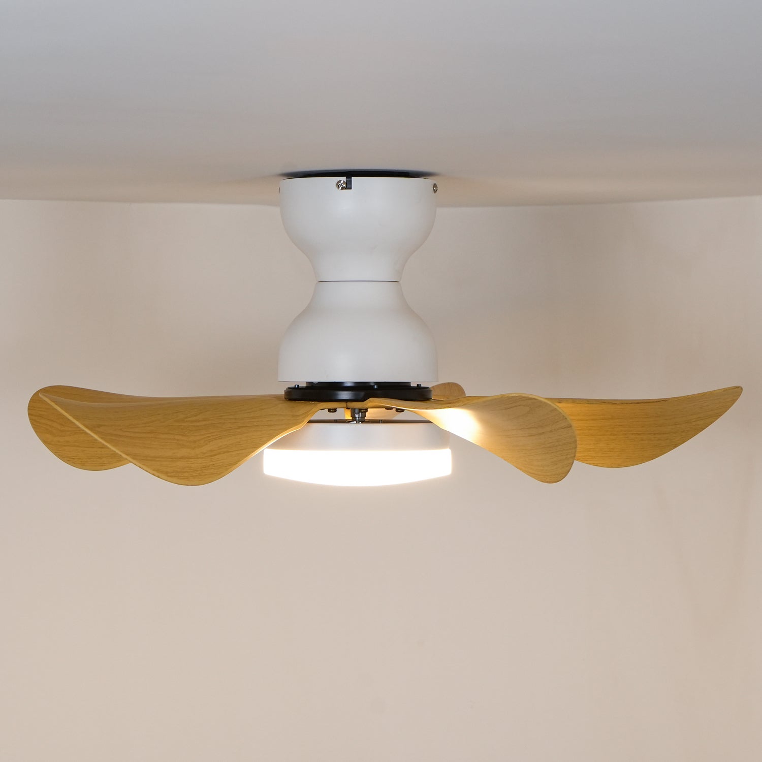 Ventilateur de plafond Jalienos
