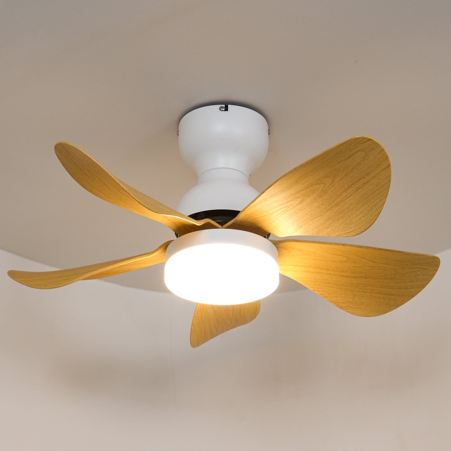 Ventilateur de plafond Jalienos