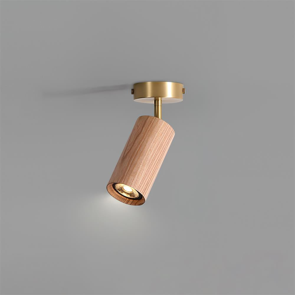 Plafonnier orientable Erbélor
