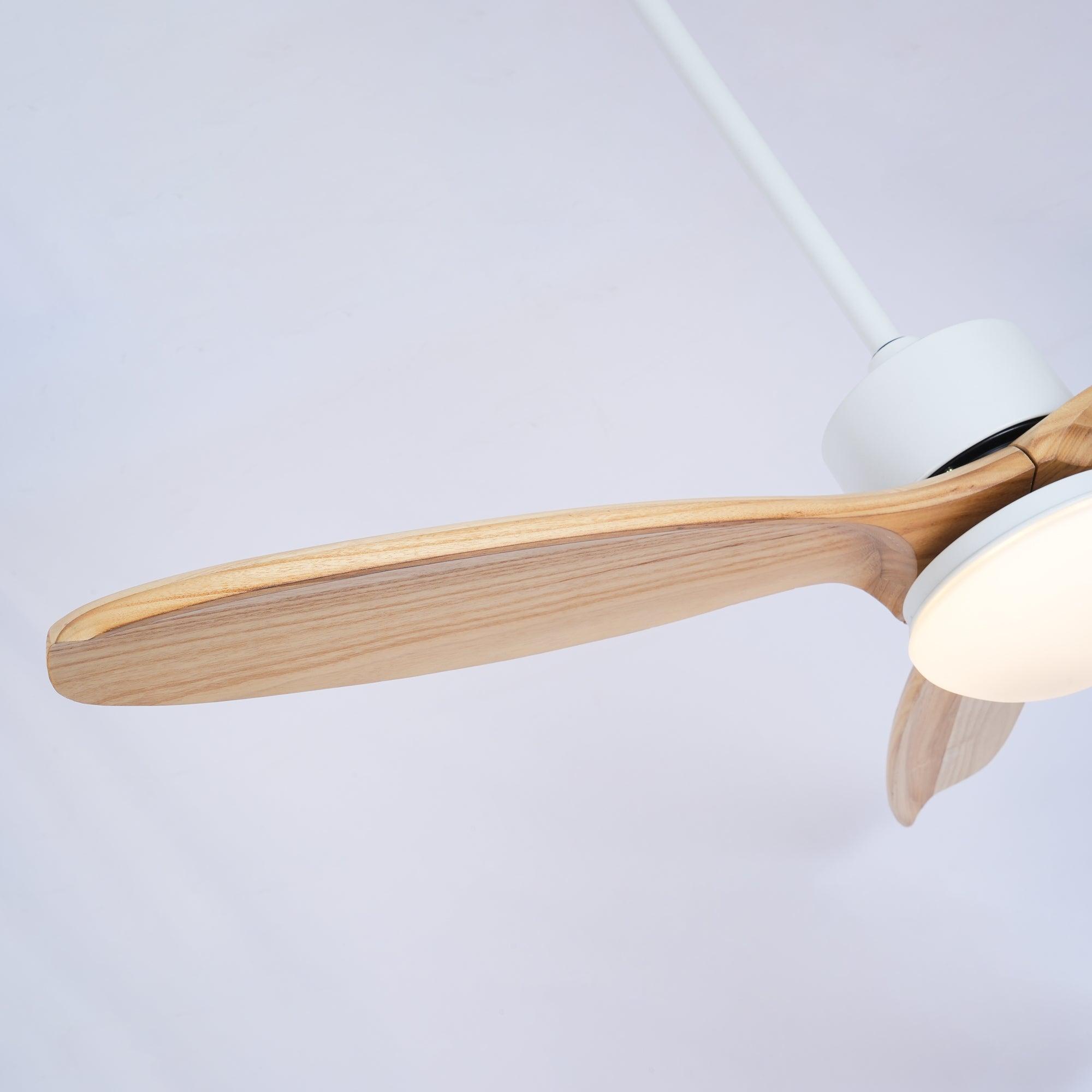 Ventilateur de plafond Duuiné
