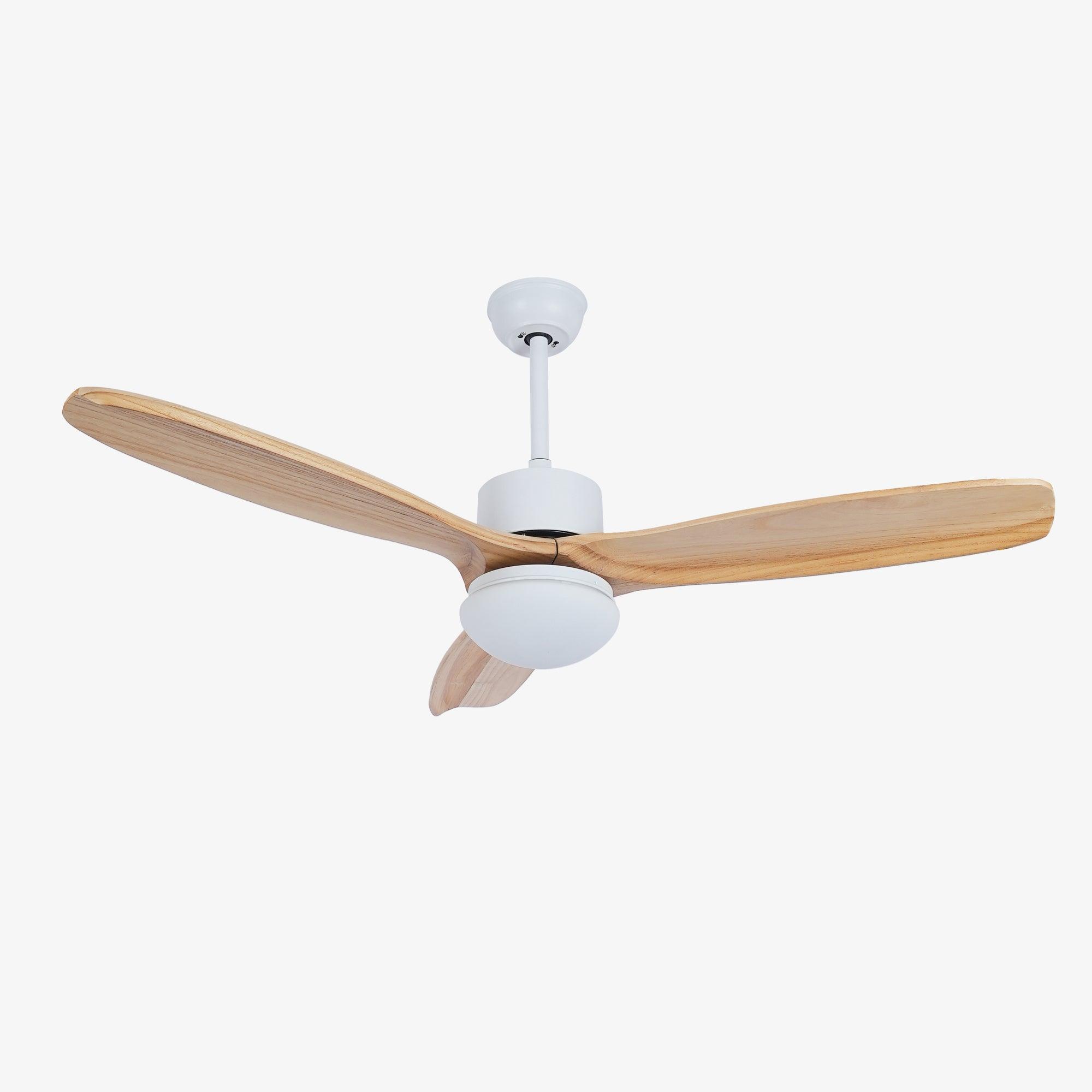Ventilateur de plafond Duuiné