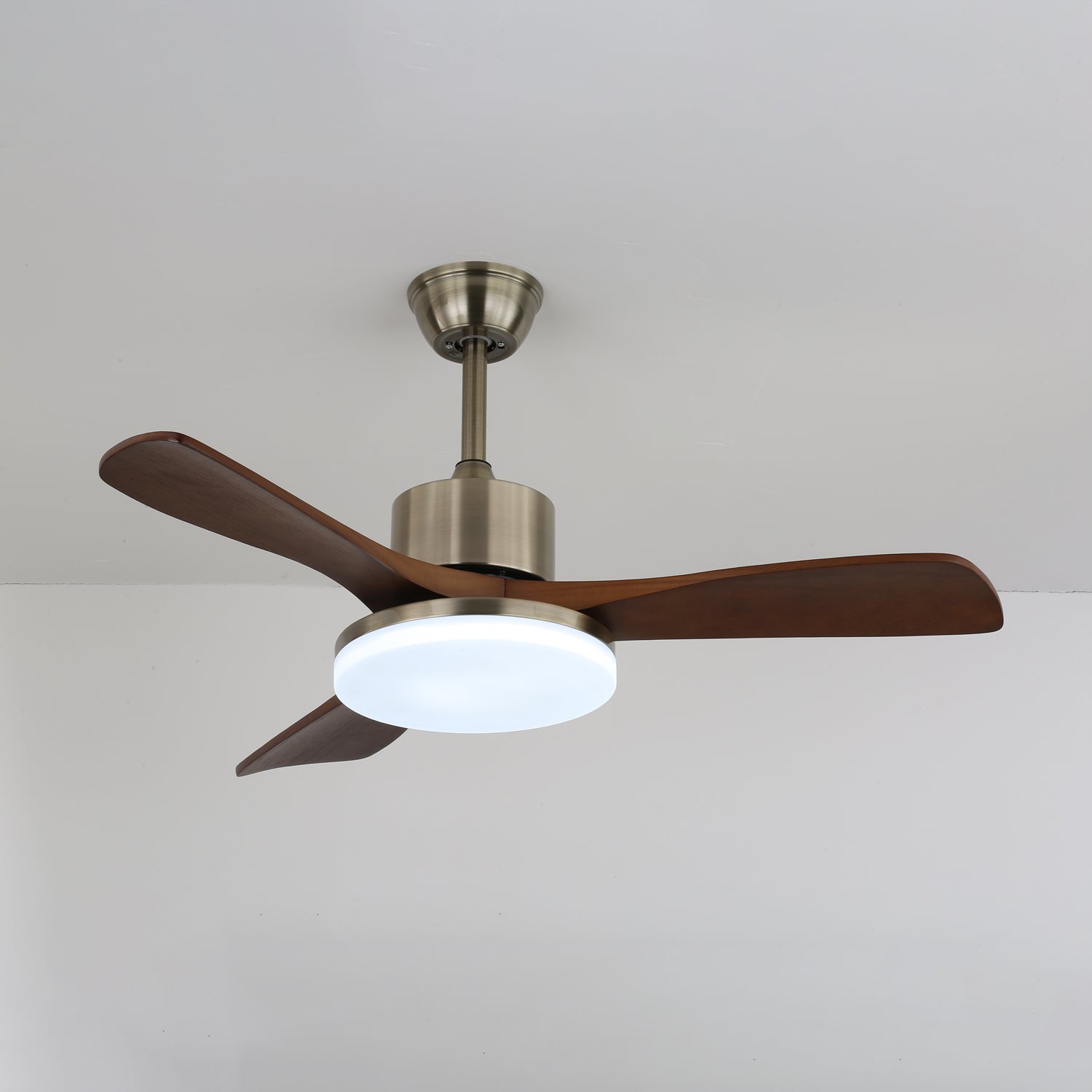 Ventilateur de plafond Felcorivo