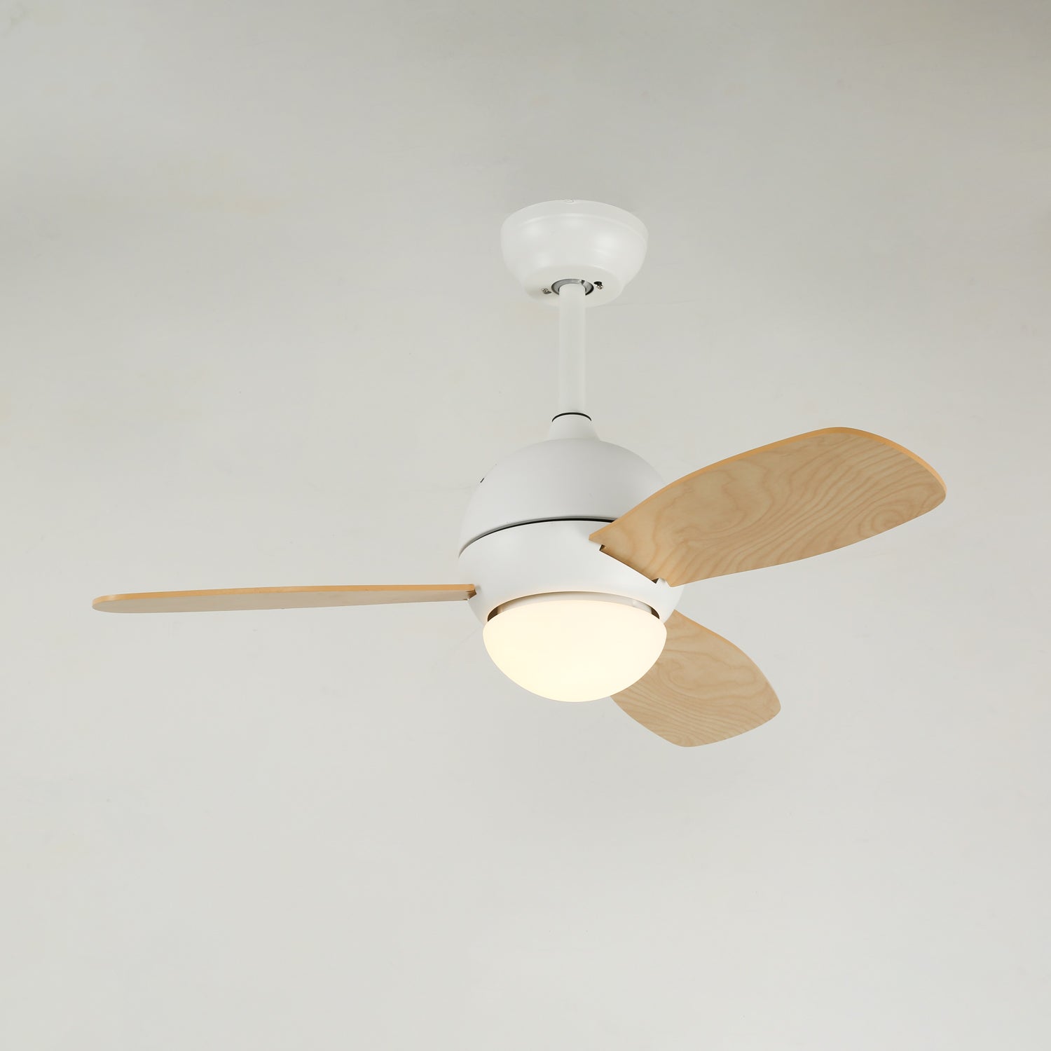 Ventilateur de plafond Golienella