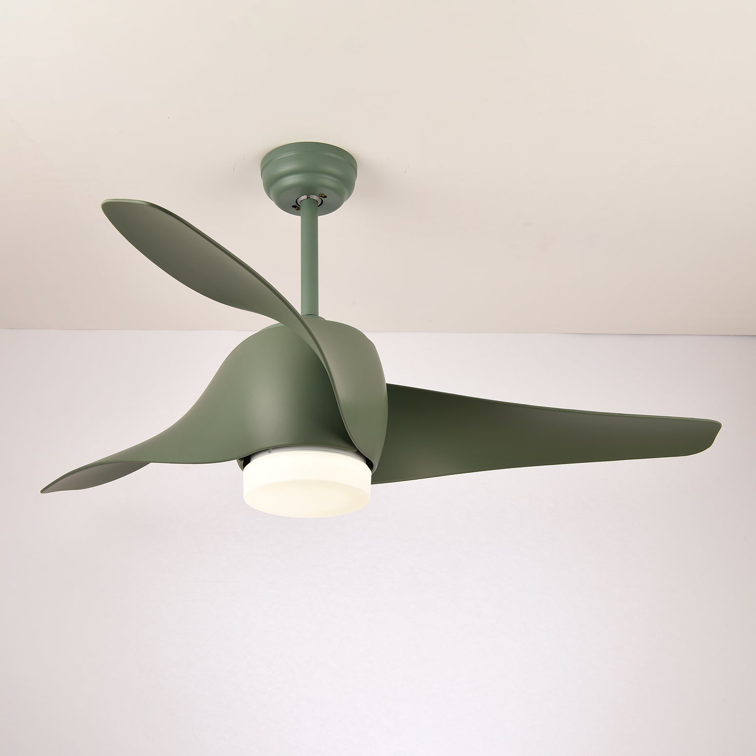 Ventilateur de plafond Fionéaire