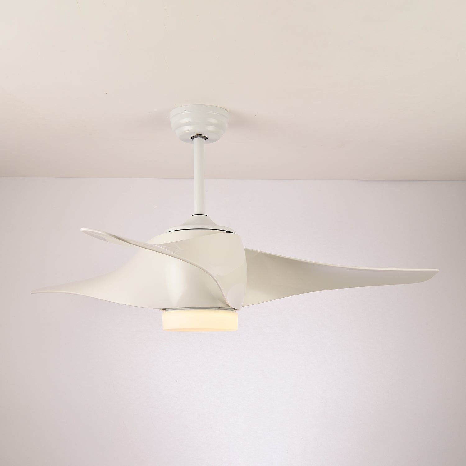 Ventilateur de plafond Fionéaire