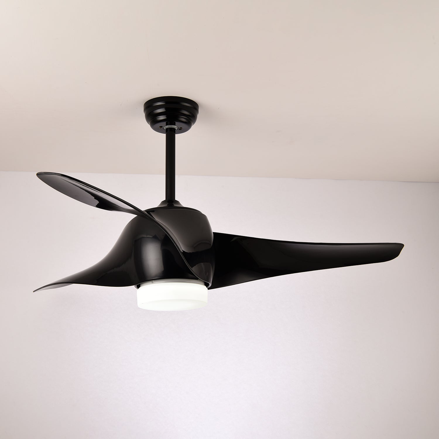 Ventilateur de plafond Fionéaire