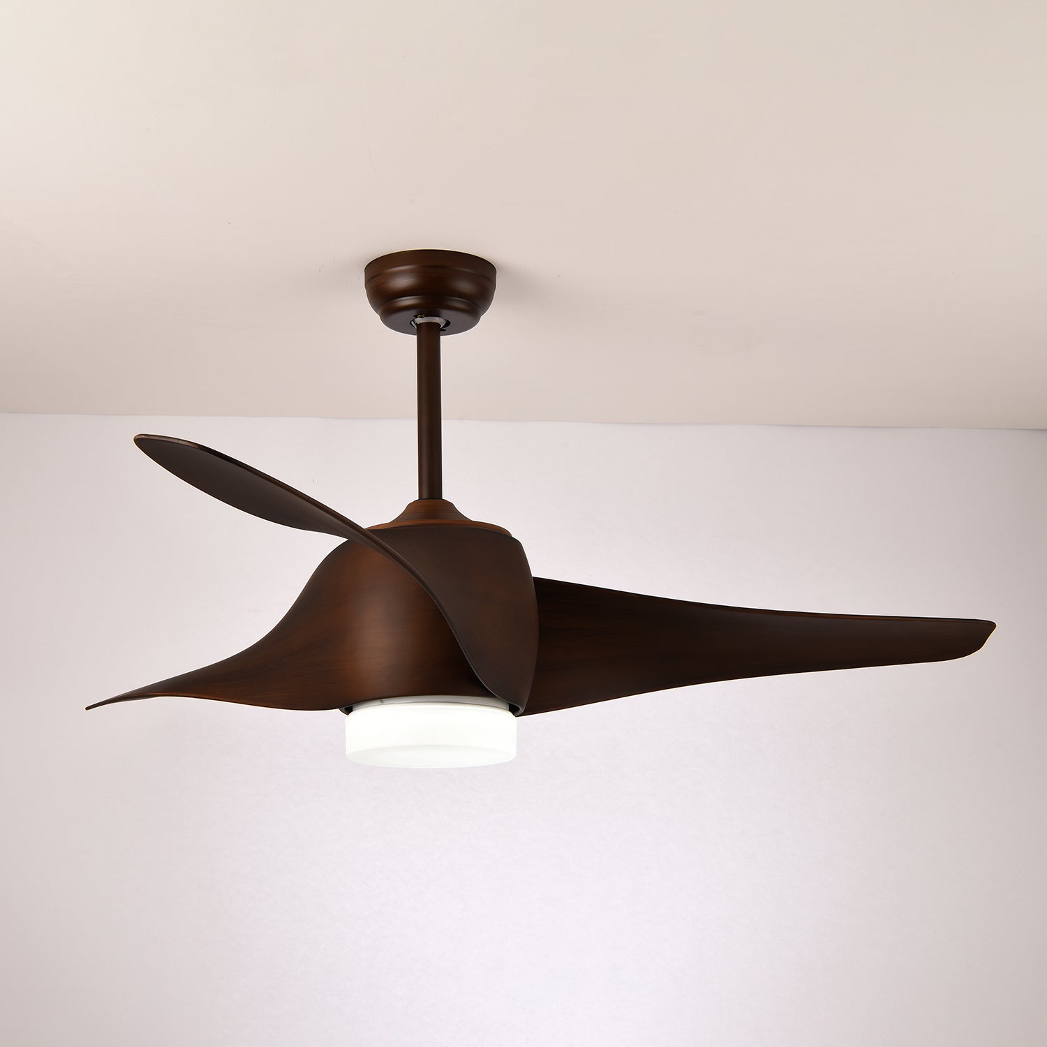 Ventilateur de plafond Fionéaire