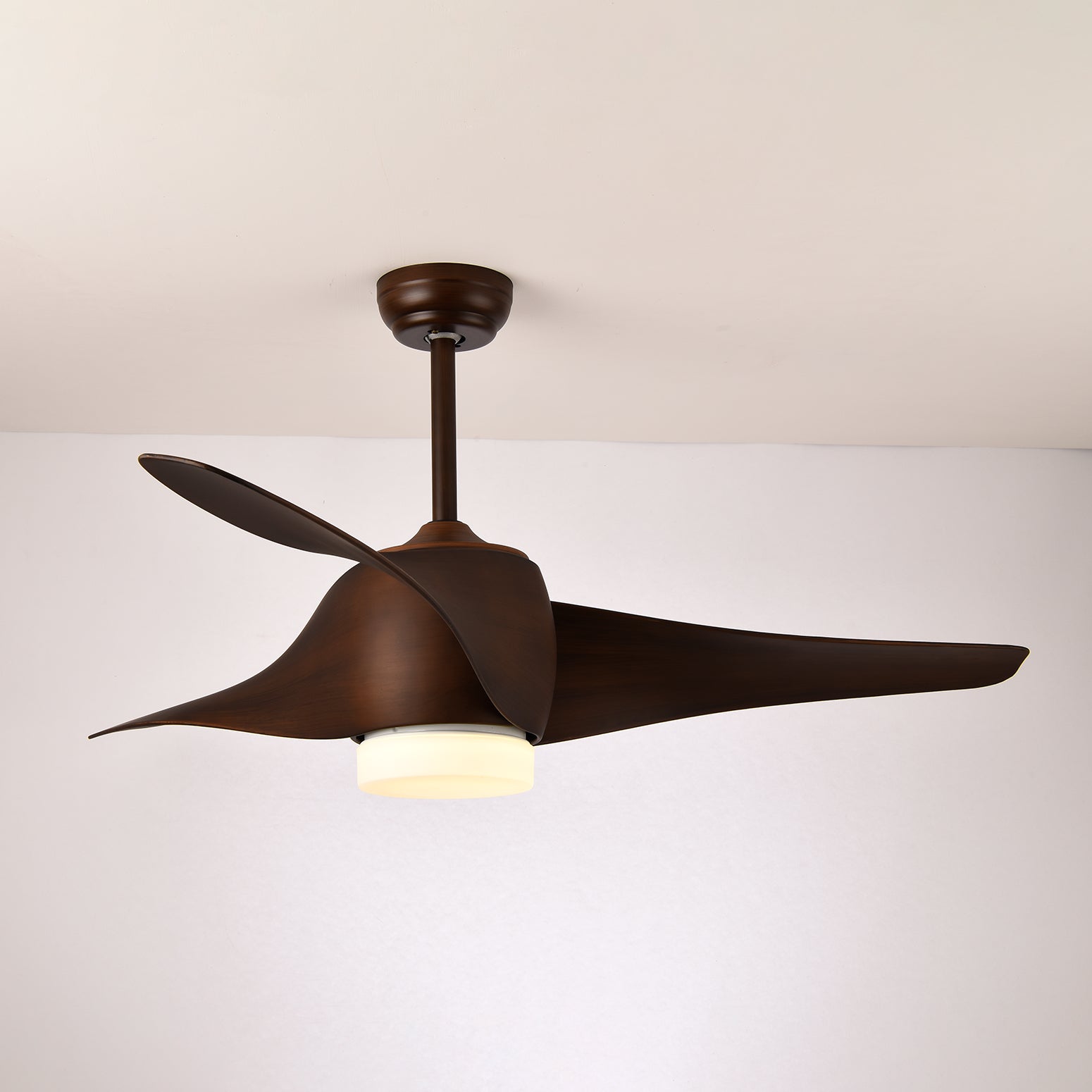 Ventilateur de plafond Fionéaire