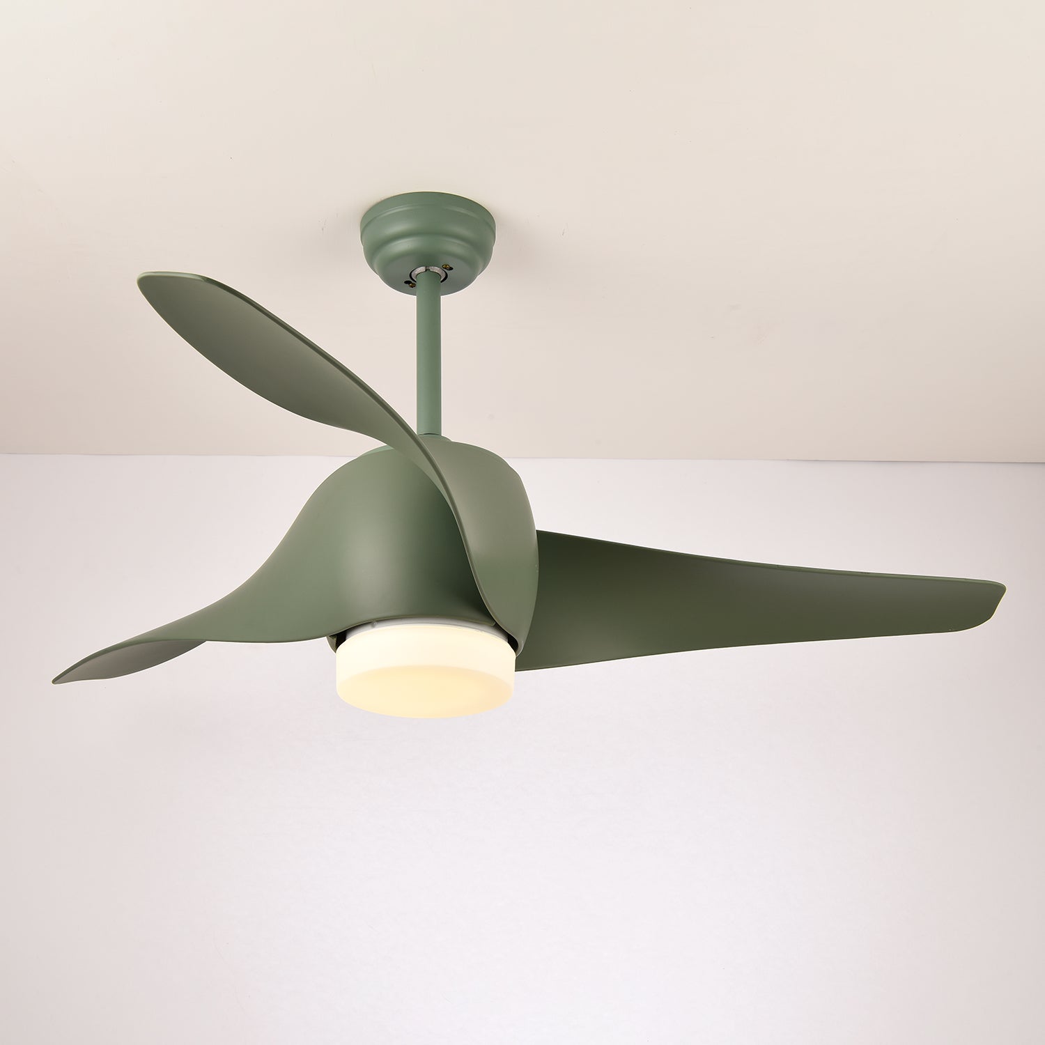 Ventilateur de plafond Fionéaire