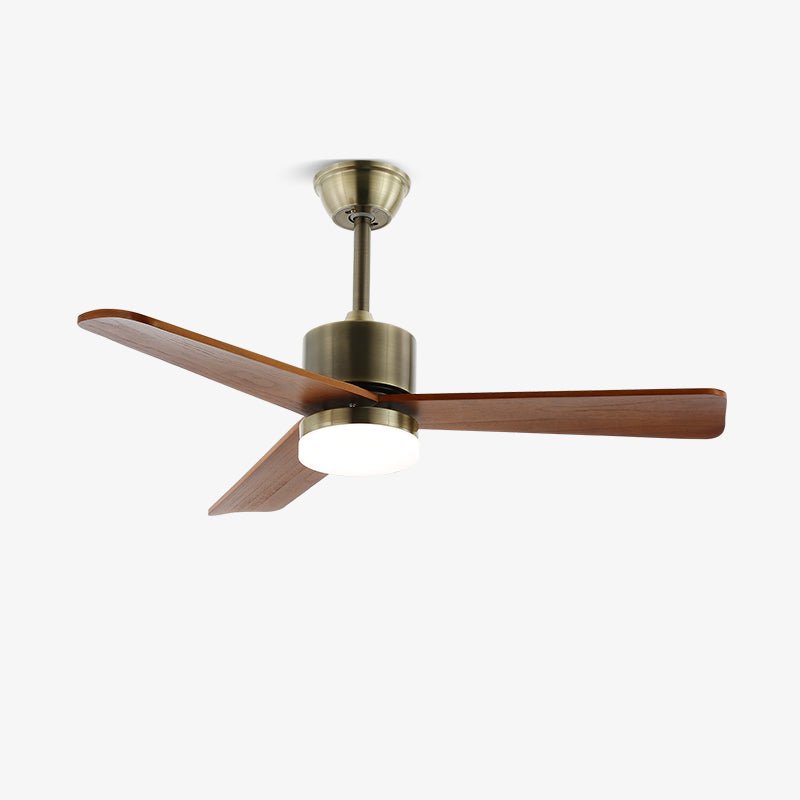 Ventilateur de plafond Pelnovoris