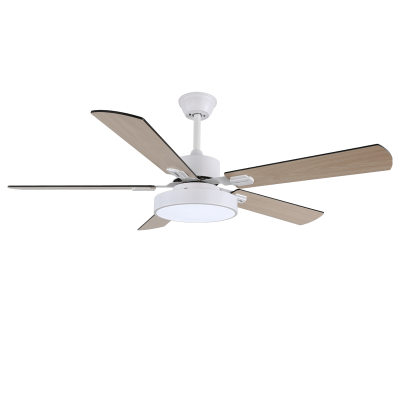 Ventilateur de plafond Licaleco