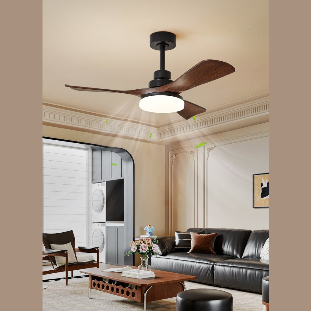 Ventilateur de plafond moderne Sorlunon