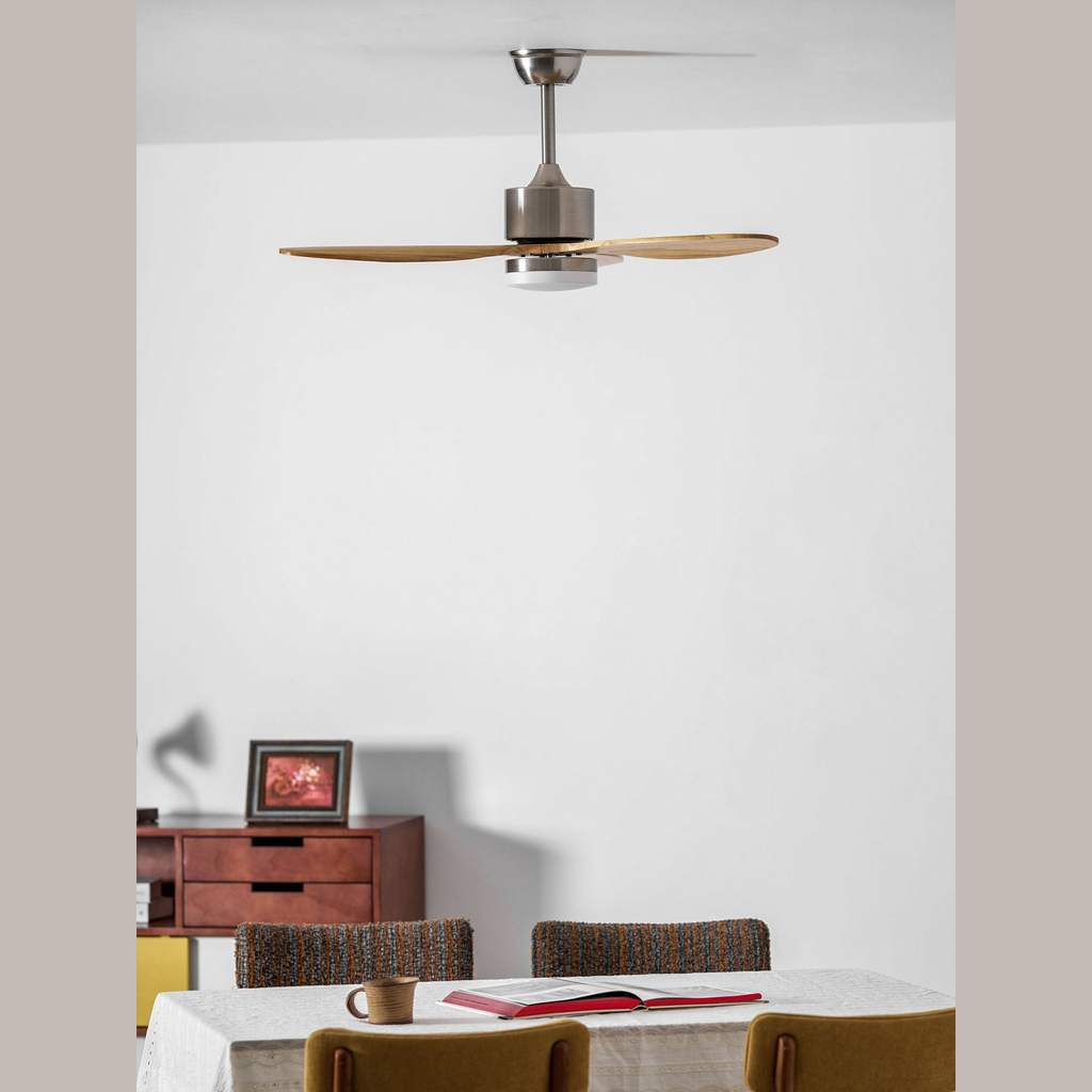Ventilateur de plafond Belenora