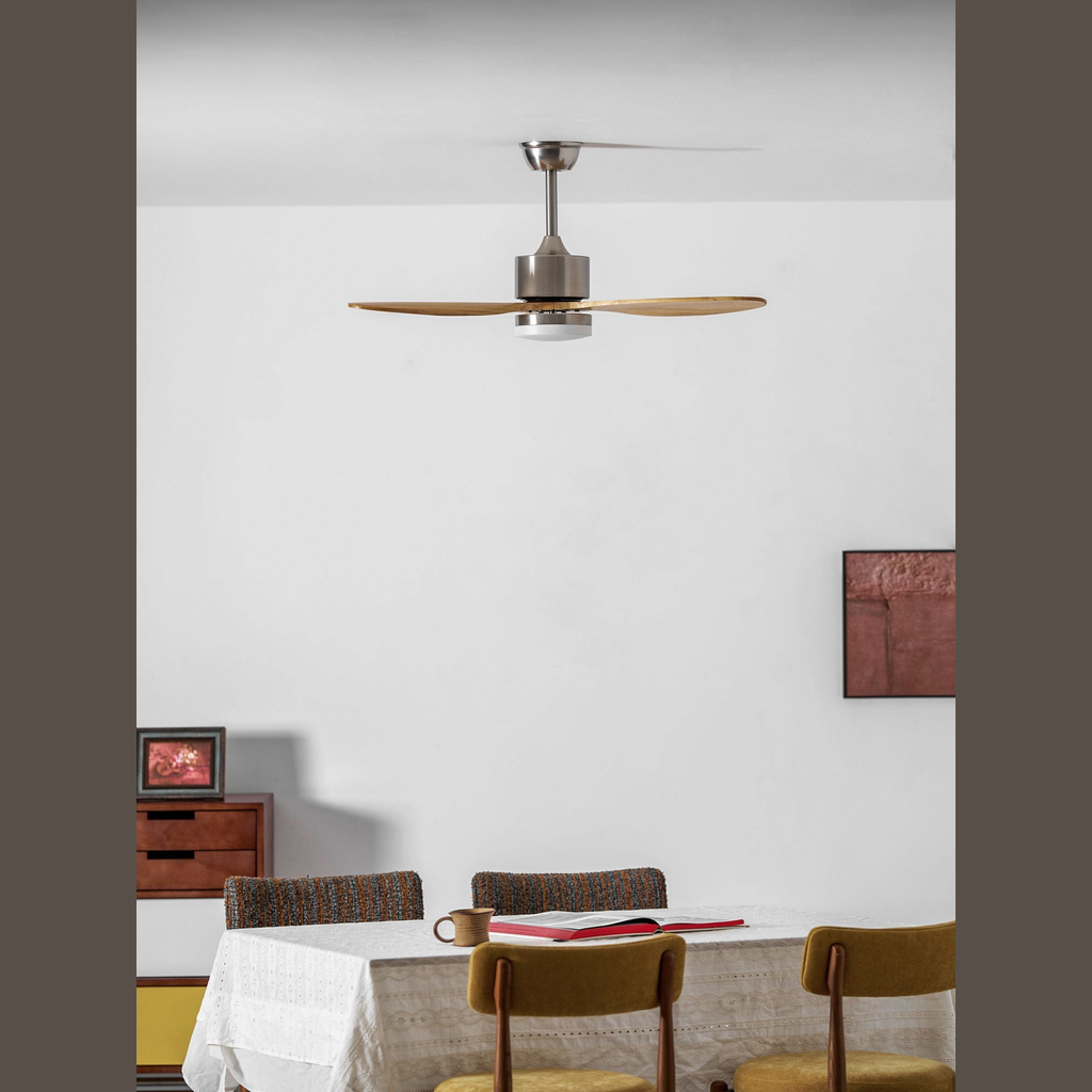 Ventilateur de plafond Belenora