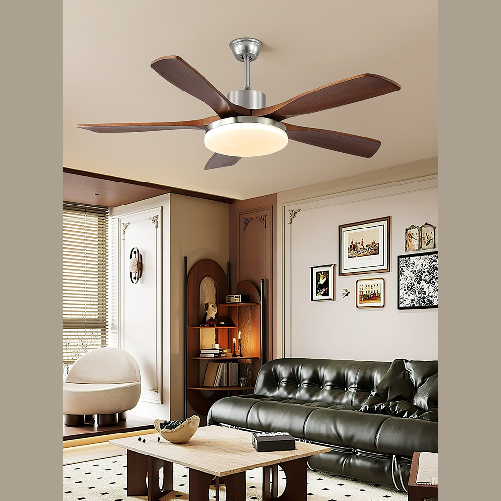 Ventilateur de plafond Oaionne